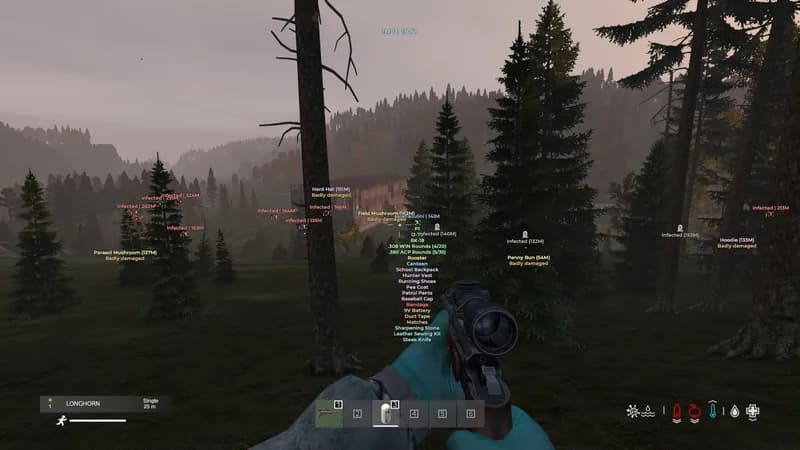 Medusa Lite Cheat - Dayz screenshot 5