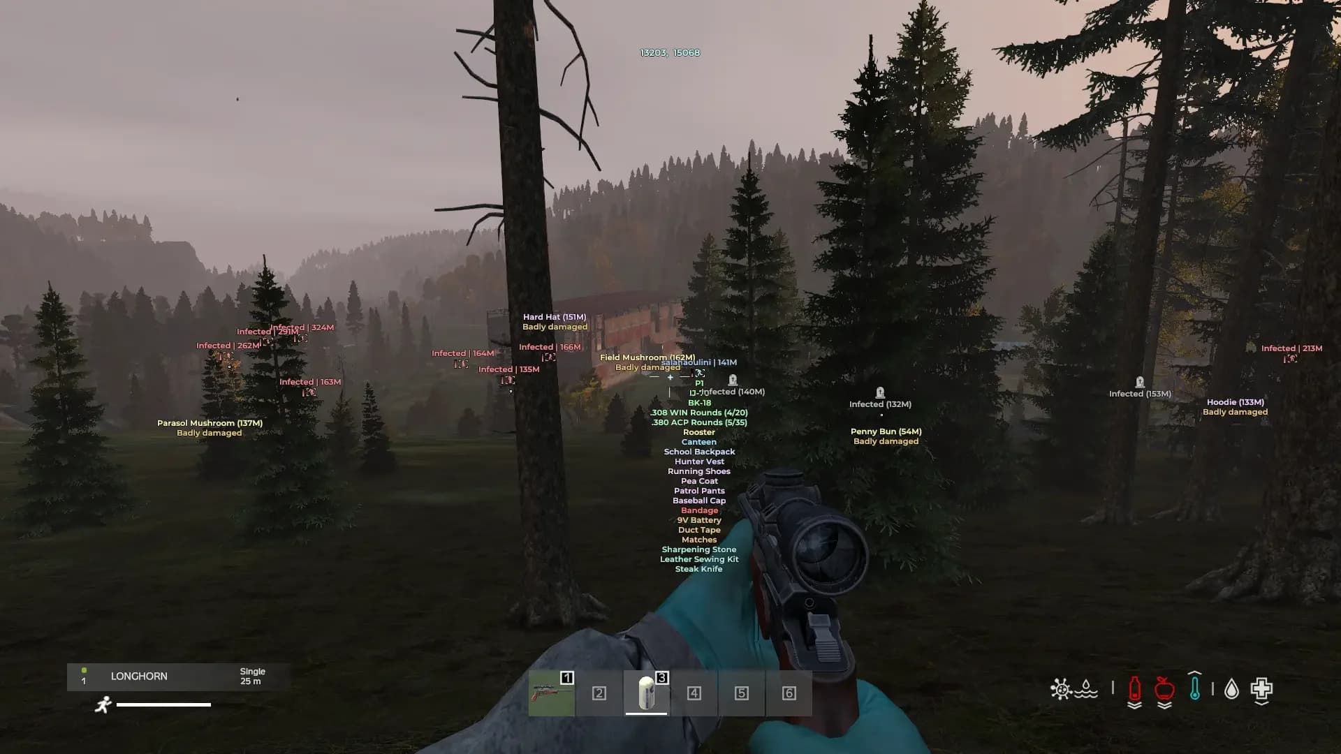 Medusa Lite Cheat - Dayz screenshot 5