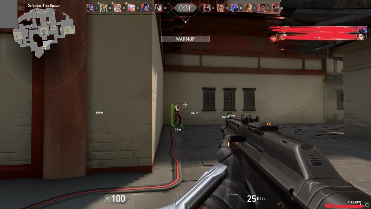 Covcheg Cheat VALORANT  screenshot 3