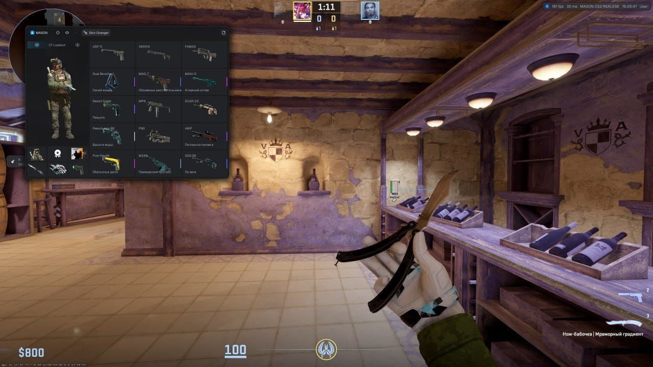 MASON Cheat Internal - Counter Strike - 2 screenshot 5